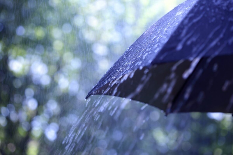 Bell Tax Accountants & Advisors’s Case for Umbrella Insurance